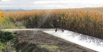Hulajnoga na ścieżce rowerowej na tle pola kukurydzy