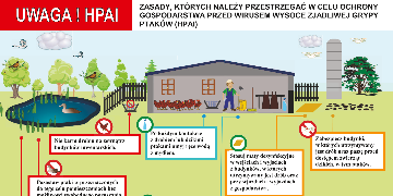 Zasady, których należy przestrzegać w celu ochrony gospodarstwa przed wirusem wysoce zjadliwej grypy ptaków