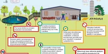 Zasady, których należy przestrzegać w celu ochrony gospodarstwa przed wirusem wysoce zjadliwej grypy ptaków
