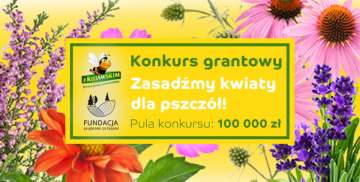 "Zasadźmy kwiaty dla pszczół"
