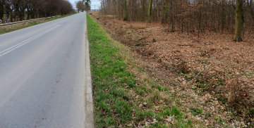 Budowa ciągu pieszo-rowerowego